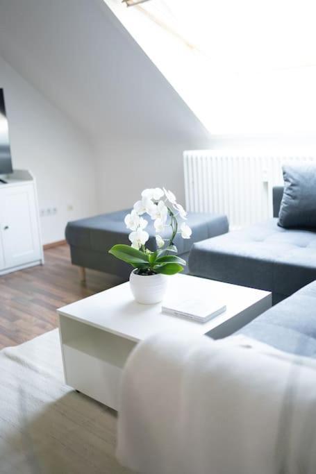 Apartment 3-zimmer-wohnung Im Herzen Von Ruettenscheid *